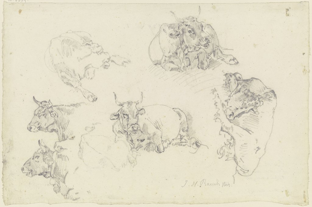 Six cattle, Johann Nepomuk Rauch