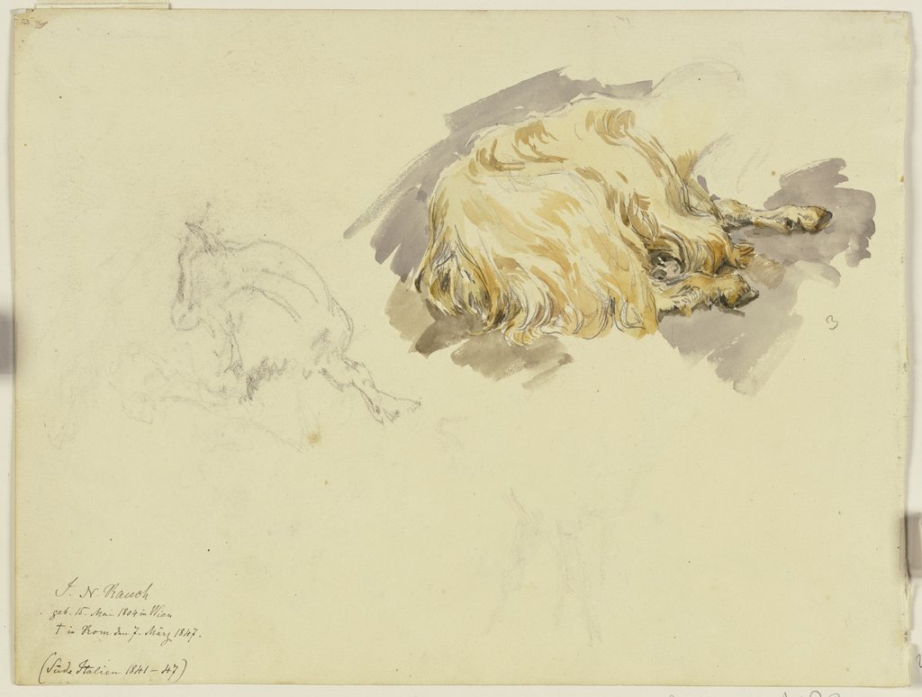 Two goats, Johann Nepomuk Rauch