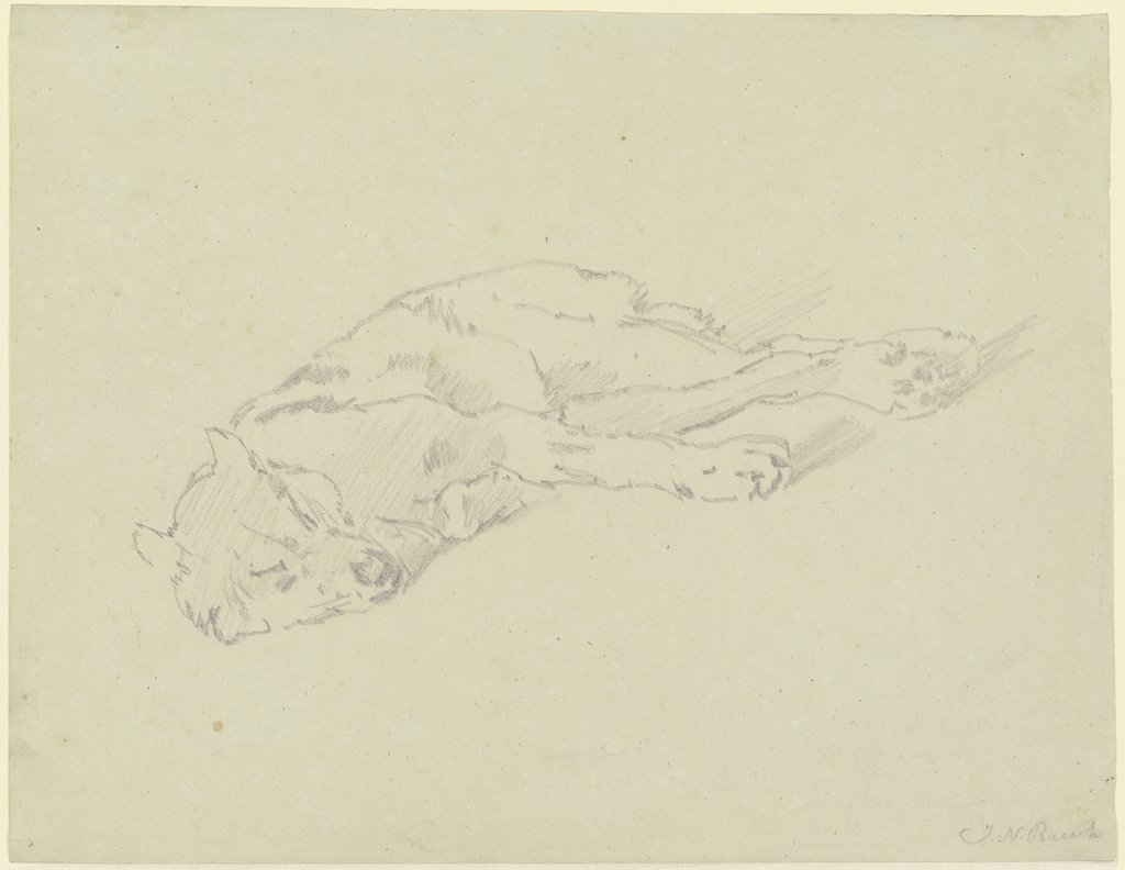 Schlafender Wolf, Johann Nepomuk Rauch