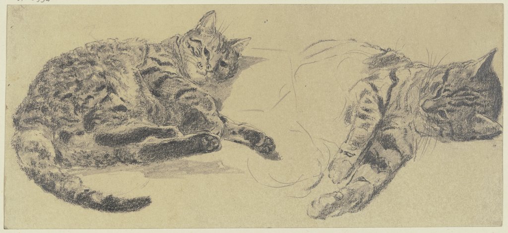 Studies of cats, Wilhelm Gentz