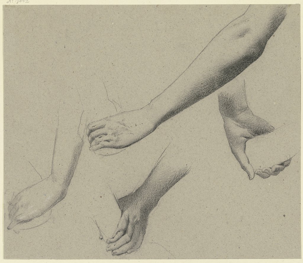 Studies of arms and hands, Wilhelm Gentz