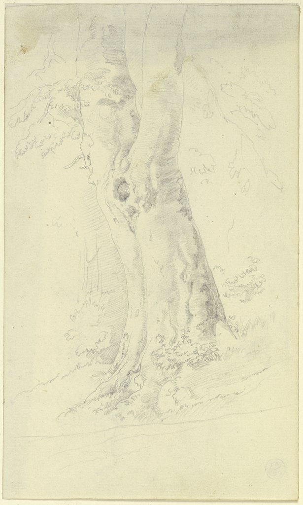 A tree, German, 19th century