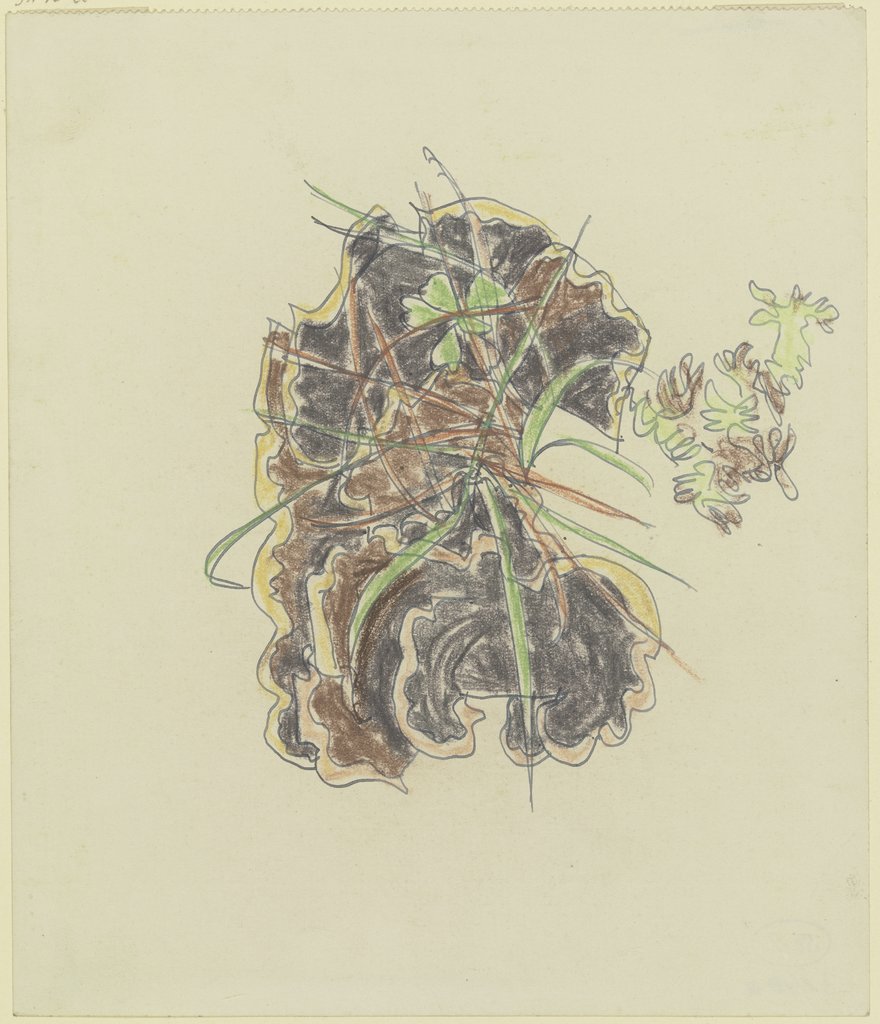 Study of plants, August Babberger