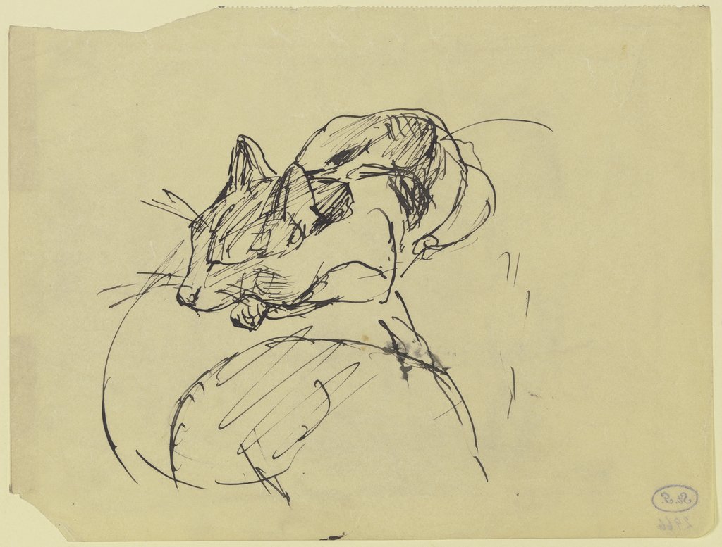 Katze, Max Beckmann