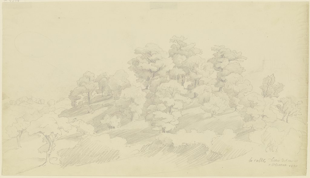 Group of trees near Olevano, August Lucas