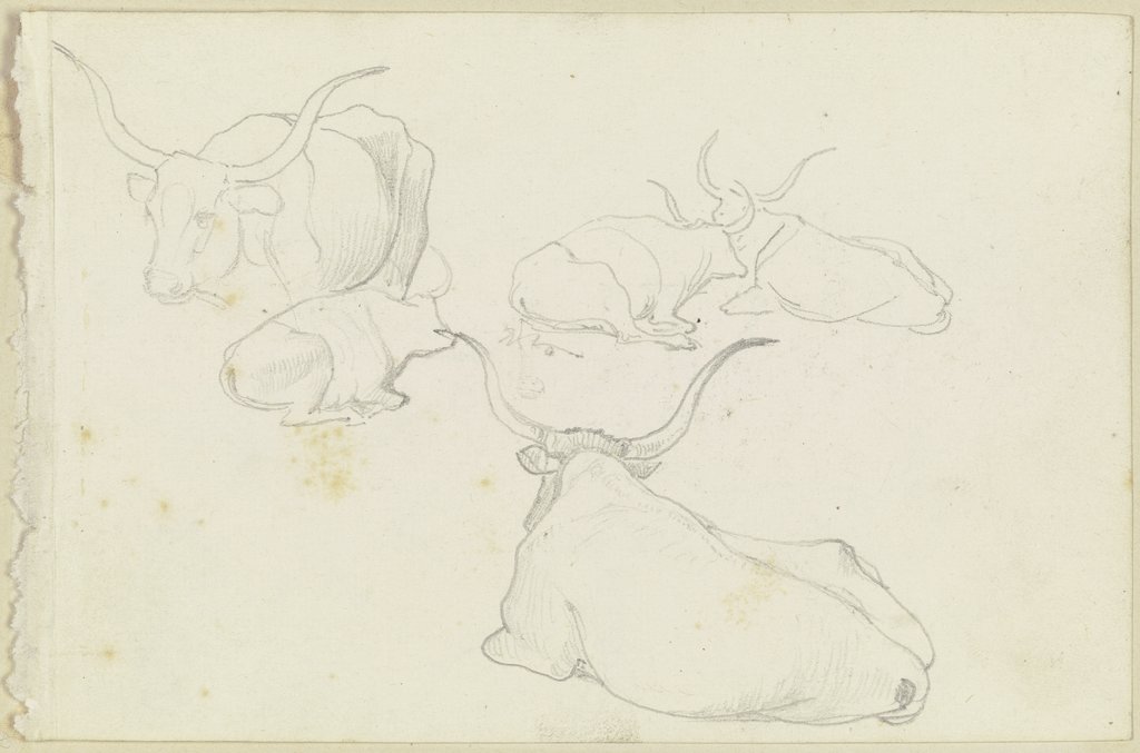 Resting cattle, August Lucas