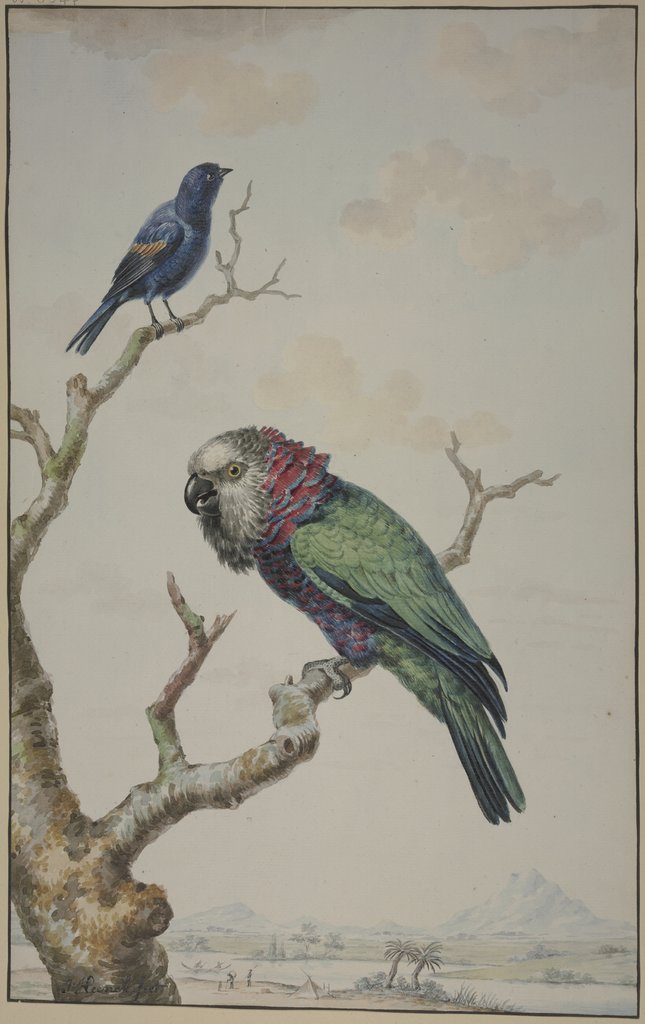 Green parrot with red ruff and a blue raven, Jabes Heenck