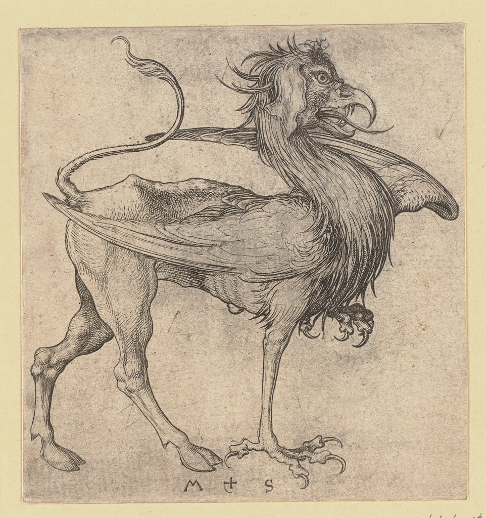 Der Greif, Martin Schongauer