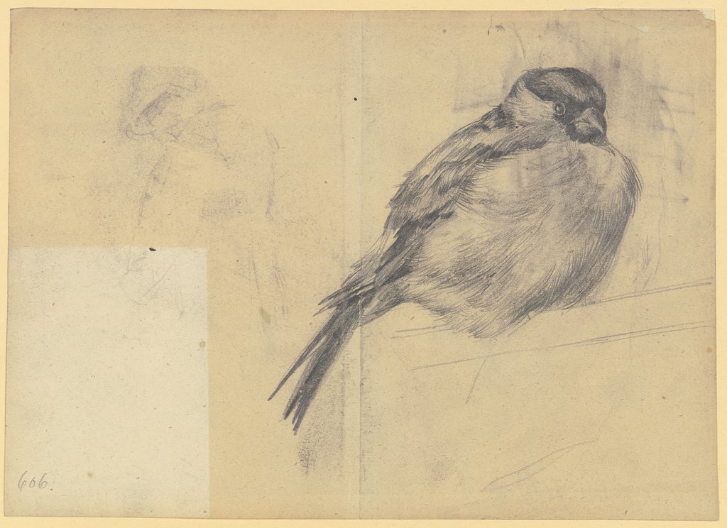 Singvogel, Fritz Boehle