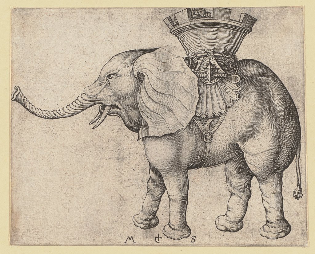 The Elephant, Martin Schongauer