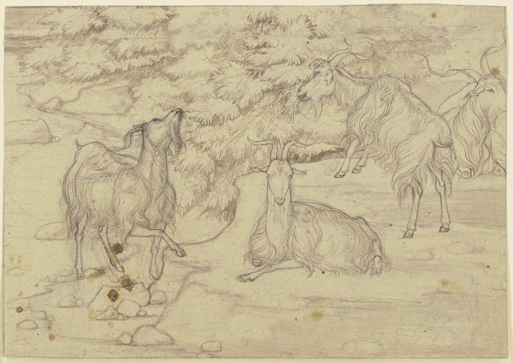 Grazing goats, Franz Horny