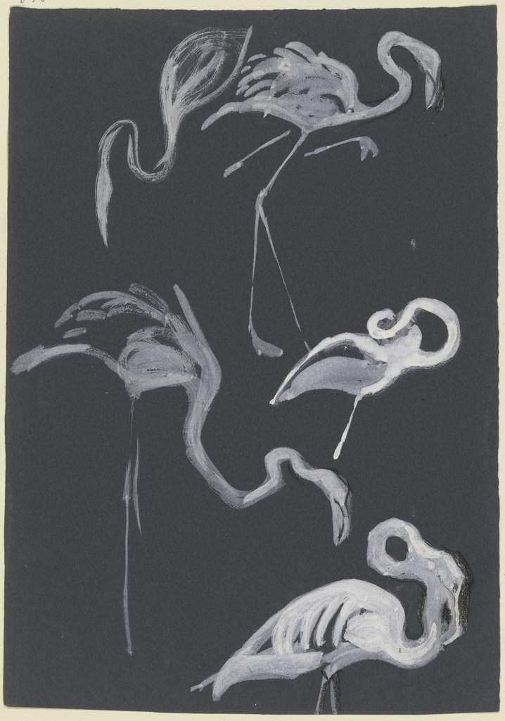 Studies of herons, Ludwig Heinrich Jungnickel